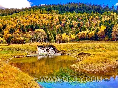 大理香格里拉旅游|麗江古城+ 雙廊古鎮(zhèn)+洱海大游船+崇圣寺三塔+虎跳峽+香格里拉普達措森林公園5日游
