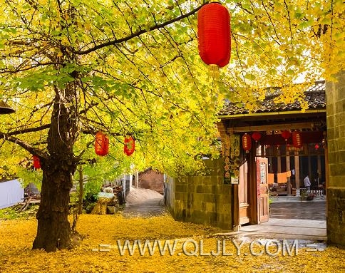 騰沖旅游團(tuán)|騰沖一地雙飛晚4天純玩游|送椿溫泉SPA+夢(mèng)幻騰沖|高端商務(wù)型獨(dú)立小包團(tuán)