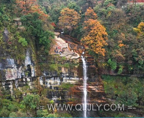 ͨξc|+ͨȫ54 |ɽ+С݉+{+ɳP5