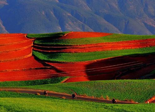 東川紅土地一日游|云南旅行社推昆明周邊攝影游線路