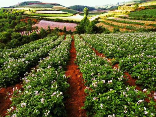 東川太陽谷+紅土地2日游|東川旅游|昆明旅游推薦|云南省國際旅行社